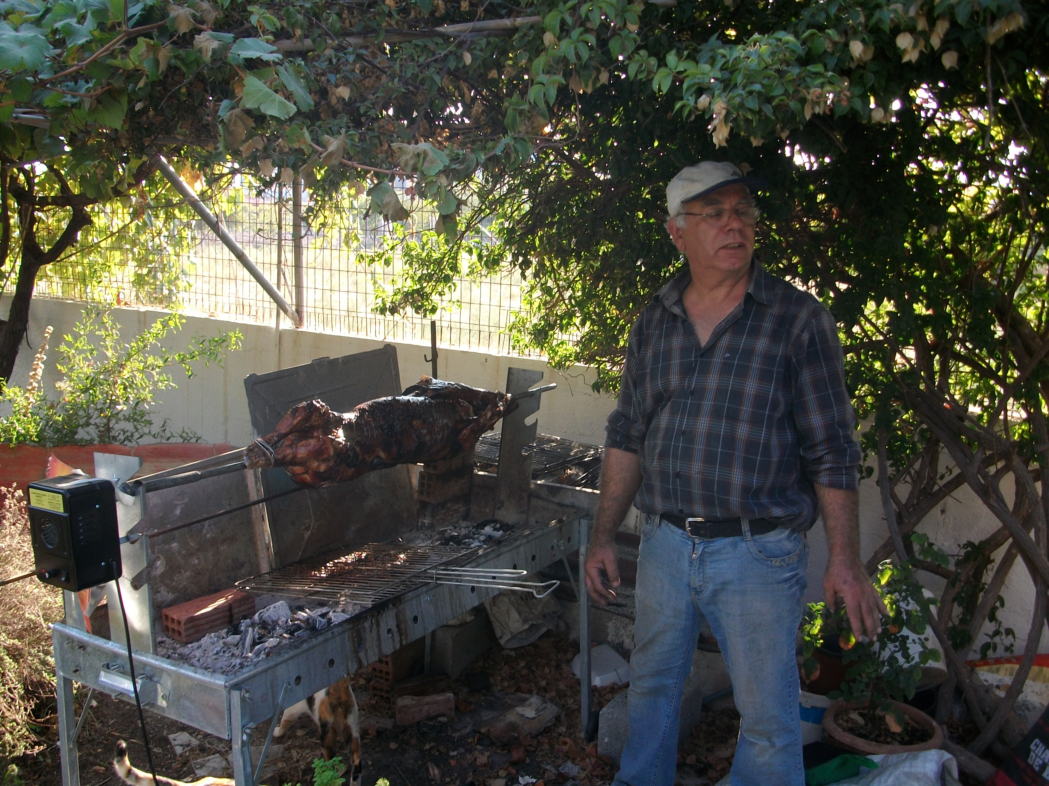 Dimitris cooking